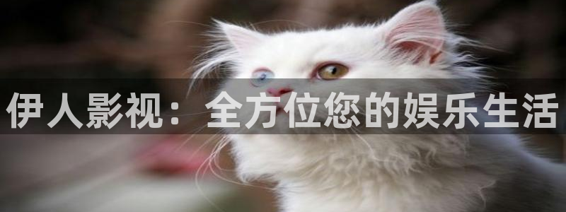 卿卿日常金牌影院：伊人影视：全方位您的娱乐生活