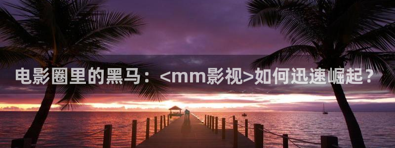 12金牌电影完整版