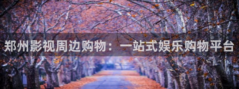 金牌影院看电视剧免费：郑州影视周边购物：一站式娱乐购物平台