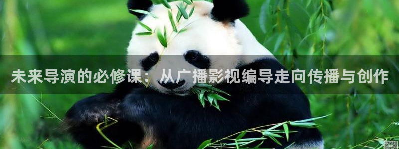 金牌女王电影免费完整版在线观看