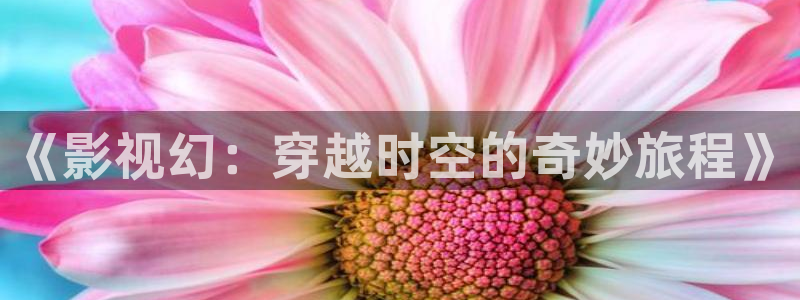 金牌特勤队2024电影在线观看：《影视幻：穿越时空的奇妙旅程》