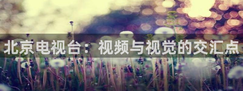金牌 电影：北京电视台：视频与视觉的交汇点