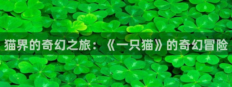 金牌特遣队电影免费观看